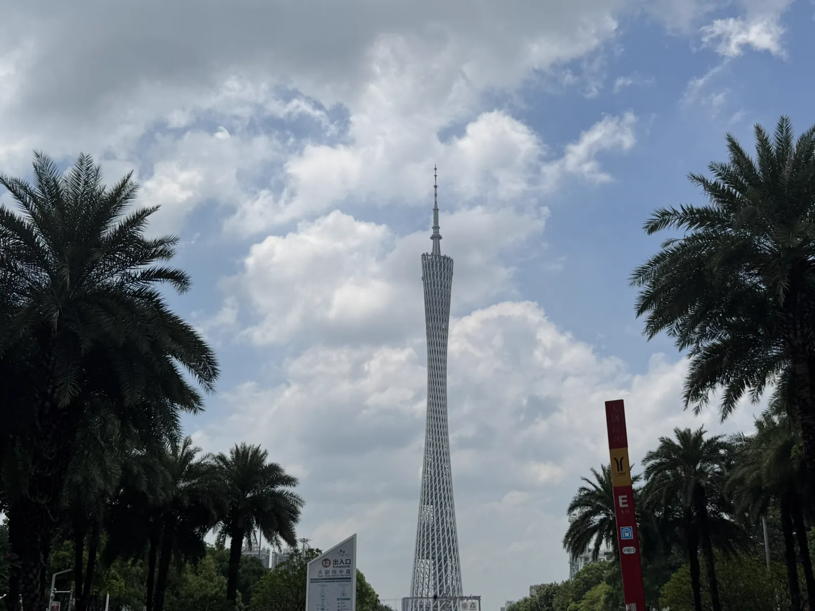 蓝天白云与棕榈树之间的广州塔