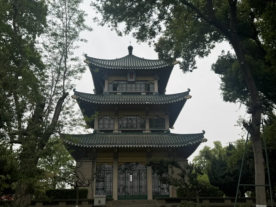 树木环绕的灰色古塔